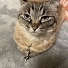 しょーちゃん