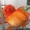 ken2さんのプロフィール画像