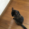 ひかるさんのプロフィール画像