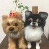 おこ827さんのプロフィール画像