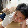 みーさんのプロフィール画像