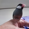 生活隊
