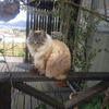 　TKmarokunさんのプロフィール画像