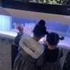 なぁさんさんのプロフィール画像