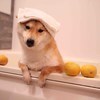 かずのこ★さんのプロフィール画像