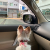 かちさんのプロフィール画像