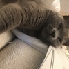 カズさんのプロフィール画像