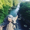 barnaさんのプロフィール画像