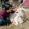こじろー子さんのプロフィール画像