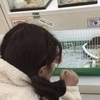 がっちゃんさんのプロフィール画像