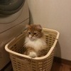 流山格闘技さんのプロフィール画像