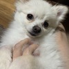 こたつなぱいさんのプロフィール画像