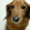 ユッケさんのプロフィール画像