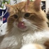 Takuさんのプロフィール画像