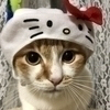 にゃ〜ちゃんさんのプロフィール画像