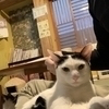 yutaronさんのプロフィール画像