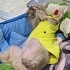 まなみさんのプロフィール画像