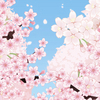 サクラさんのプロフィール画像