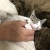 のぶすけさんのプロフィール画像