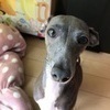 かりんさんのプロフィール画像