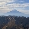 すけさんのプロフィール画像