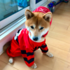 なかたけさんのプロフィール画像