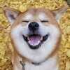 challengerさんのプロフィール画像