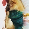 Ayuyuさんのプロフィール画像