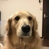 heraさんのプロフィール画像