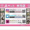 hr4112さんのプロフィール画像