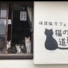 猫の道草さんのプロフィール画像