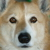 ラッキーさんのプロフィール画像