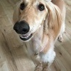 Randyさんのプロフィール画像