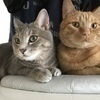5mi2ya9ko4さんのプロフィール画像