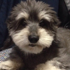 takaさんのプロフィール画像