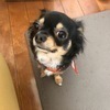 naoya201さんのプロフィール画像