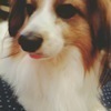 いとくんさんのプロフィール画像