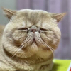 古屋さんのプロフィール画像