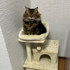 けぃーさんのプロフィール画像