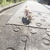 wayさんのプロフィール画像