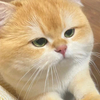 イブキさんのプロフィール画像
