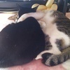 ぼんじさんのプロフィール画像