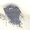 deepsky01さんのプロフィール画像