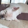 tuleleさんのプロフィール画像