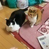 ken さんのプロフィール画像