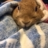 いちさんのプロフィール画像