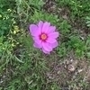 なつさんのプロフィール画像