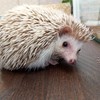 セナさんのプロフィール画像