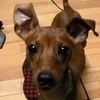 M yuさんのプロフィール画像