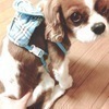 翔栄さんのプロフィール画像